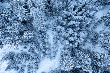 Snowy Landscape from Above
