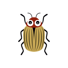 cartoon potato beetle isolated on white background