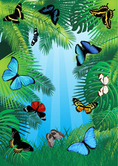 Fototapeta na wymiar vector tropical background with butterflies of south America