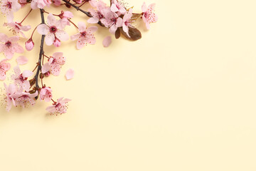 Obraz na płótnie Canvas Sakura tree branch with beautiful pink blossoms on beige background, flat lay. Space for text