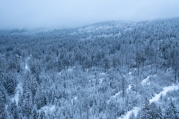 Snowy Landscape from Above
