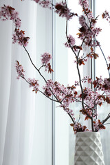 Blossoming tree twigs in vase near window, closeup