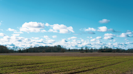 Fototapeta na wymiar Spring sky and fields outside the city..