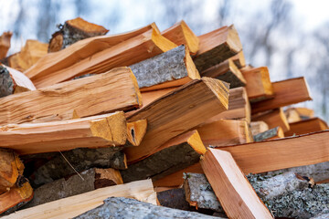 A pile of broken wood in the spring..