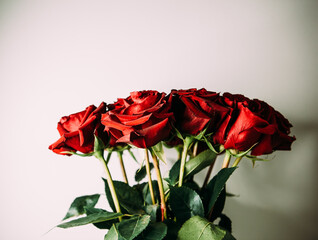 luxurious bouquet of large red roses close-up on a light background in the dark. low key photography, noir