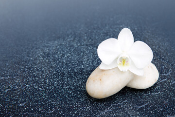 Naklejka na ściany i meble White orchid flower and stone with water drops isolated