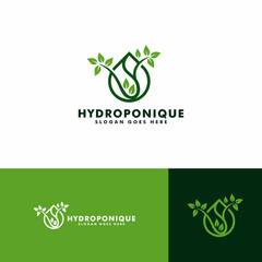 hydroponic logo design template vector illustration