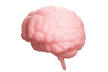Brain isolated on a white background. 3d rendering. High resolution.