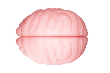 Brain isolated on a white background. Top view. 3d rendering. High resolution.