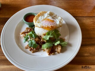 Top view of fried pork and egg on rice served on white plate.  Thai dish style, fast food.