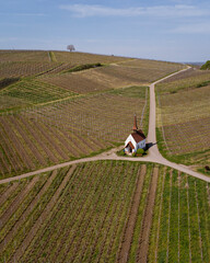 chapel in the vineyards