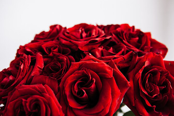 expensive bouquet of large red roses, background of many red roses