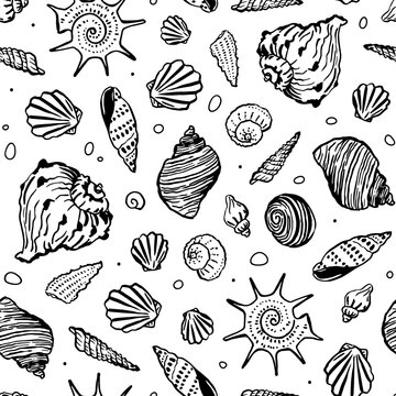 Hand-drawn Seashells On White Background. Non Directional Seamless Pattern. Vector Illustration