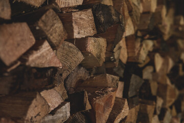 Winter preparation. Stacking Firewood. Pile of firewood loggs. Firewood background.