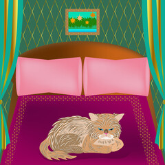 The cat is lying on the bed. Pink pillows, curtains, bright bedspread. Vector illustracion.