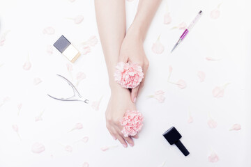 Close-up beautiful sophisticated woman hands with pink flowers on white background. Concept organic manicure hand care spa, top view