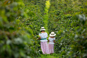 mother and daughter picking up coffee beans in Colombia
