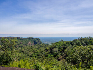 Obraz premium The top of the view of the big mixed forest.
