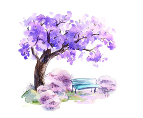 Blue bench under blooming jacaranda tree in the park, with pink bushes. Watercolor sketch.Hand drawn	
