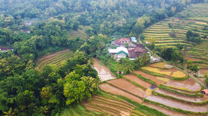 top view of rice terraces in Mangunan Bantul Yogyakarta