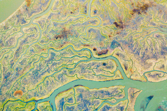 Aerial view of the abstract pattern made by Scheldt river estuaries near Belgium and The Netherlands border, Nieuw-Namen, Zeeland, The Netherlands.