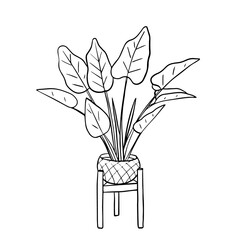 Indoor potted palm tree. Sketch, the outline of a plant in a hand-drawn doodle style. Vector illustration for design