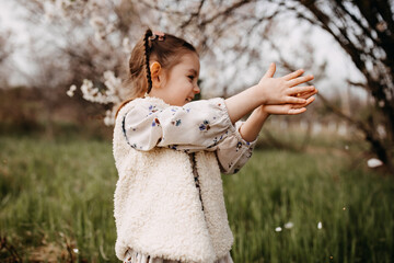 Little girl in a garden, catching petals  from a cherry tree in bloom.