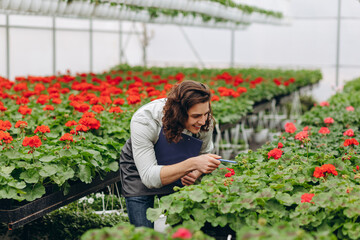 Young male gardener working in greenhouse.