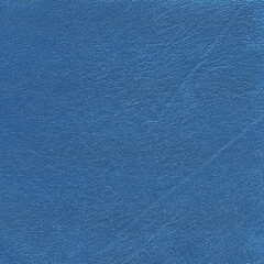 Light blue leather background. Skin texture