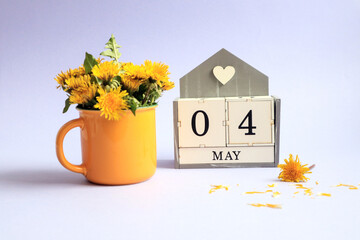 Calendar for May 4: cubes with the numbers 0 and 4, the name of the month of May in English, a bouquet of dandelions in a yellow cup on a light background
