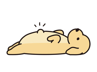 臍ヘルニア　仰向けの犬