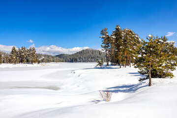 Amazing winter scene, Shiroka polyana lake, Rhodope mountains, Bulgaria