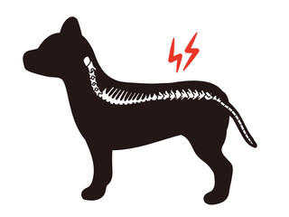 犬のシルエット　椎間板ヘルニア - obrazy, fototapety, plakaty