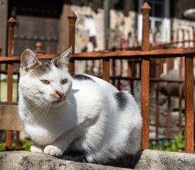Naturaufnahme in der Umgebung von Koblenz