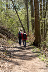 Naturaufnahme in der Umgebung von Koblenz