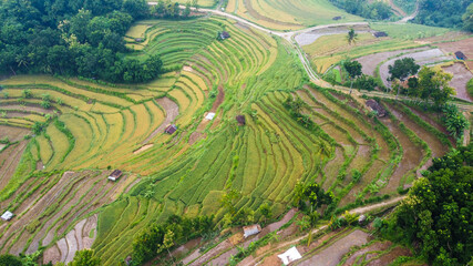 Fototapeta na wymiar top view of rice terraces in Mangunan Bantul Yogyakarta