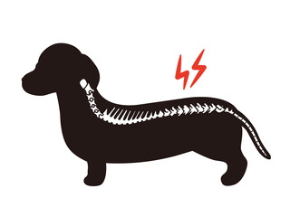 犬のシルエット　椎間板ヘルニア　ダックスフンド