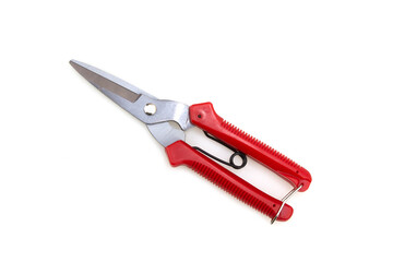Garden pruning shears on white background isolation
