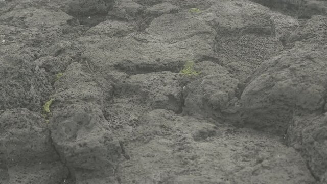 Beautiful ocean shot in 4K. Top view waves break on volcanic rocks in Jeju Island.