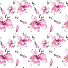 Watercolor illustration. Seamless pattern of pink magnolia flowers on a white background
