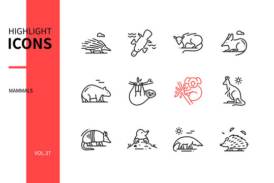 Different mammals - modern line design style icons set
