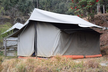 Picture of a camp in jungle and trees