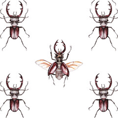 Seamless pattern of watercolor illustrations of two brown stag beetles isolated on white background