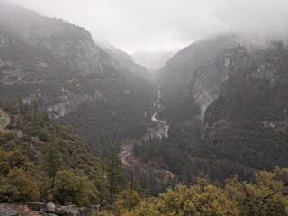 Foggy Yosemite