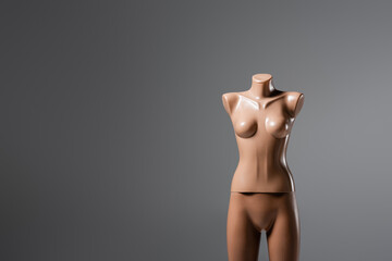plastic mannequin isolated on grey with copy space