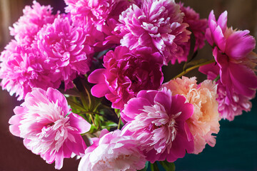 A bouquet of cut bright peonies of different shades. A gift for a woman, mom. Summer flowers.