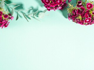 Pastel green turquoise background with pink flowers