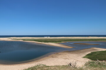 the estuary environment connects the lagoon to the ocean