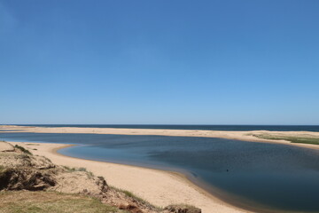 the estuary environment connects the lagoon to the ocean