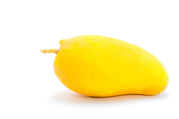  mango isolated on white background.
